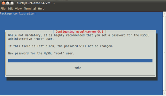 _images/term-mysql-setup.png